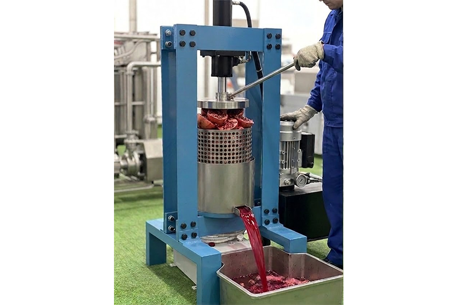 مكبس رمان-معصرة رمان